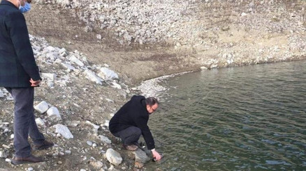 Aslantaş Barajında korkutan tablo... Binlerce ölü balık kıyıya vurdu