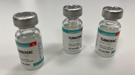 Turkovac aşı randevusu ne zaman açılacak İşte yerli aşı çalışmalarında son durum