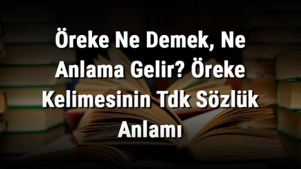 Öreke Ne Demek, Ne Anlama Gelir Öreke Kelimesinin Tdk Sözlük Anlamı