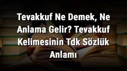 Tevakkuf Ne Demek, Ne Anlama Gelir Tevakkuf Kelimesinin Tdk Sözlük Anlamı