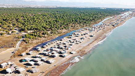 Kaplumbağalar nereye yuvalasın Baraka işgali Kaplumbağalar nereye yuvalasın Baraka işgali