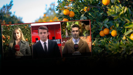 Mandalina bahçede 1.8, markette 24 lira Fiyat farkının nedeni ne