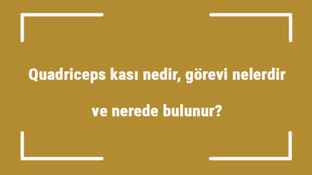 Quadriceps kası nedir, görevi nelerdir ve nerede bulunur Quadriceps güçlendirme ve geliştirme egzersizleri Quadriceps kası nedir, görevi nelerdir ve nerede bulunur Quadriceps güçlendirme ve geliştirme egzersizleri