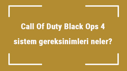 Call Of Duty Black Ops 4 sistem gereksinimleri neler COD4 için önerilen ve minimum (en düşük) gereksinimler