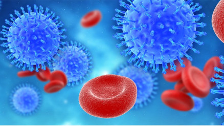 Kuş gribi (Avian influenza) nedir, nasıl bulaşır İşte kuş gribi belirtileri ve tedavisi Kuş gribi (Avian influenza) nedir, nasıl bulaşır İşte kuş gribi belirtileri ve tedavisi