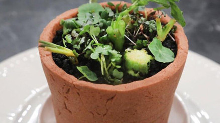 Masterchef Ben Saksı Değilim nasıl yapılır Somer Şef imzalı Ben Saksı Değilim tarifi