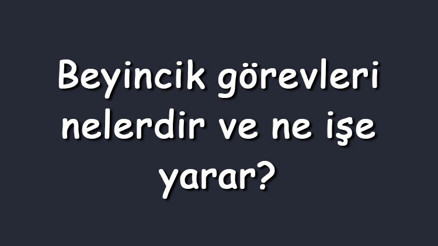 Beyincik görevleri nelerdir ve ne işe yarar Beyinciğin özellikleri ve yapısı