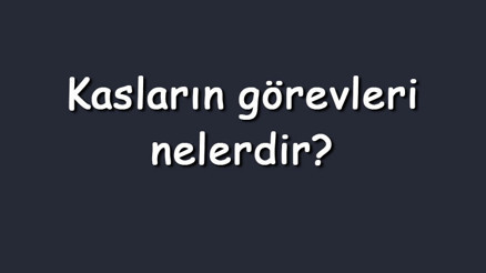 Kasların görevleri nelerdir Vücuttaki kasların çeşitleri, özellikleri ve işlevleri