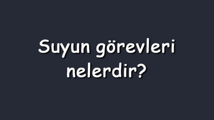 Suyun görevleri nelerdir Maddeler halinde insan vücudunda suyun işlevleri