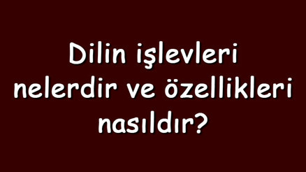 Dilin işlevleri nelerdir ve özellikleri nasıldır Örnekleri ile dilin işlevleri konu anlatımı