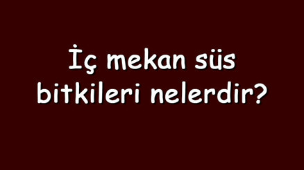 İç mekan süs bitkileri nelerdir İç mekan süs bitkilerinin isimleri ve özellikleri