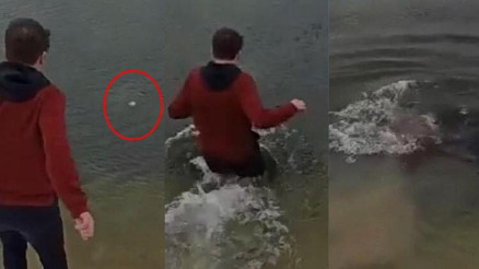 Telefonunu düşürdüğü buz gibi göle daldığı anlar kamerada