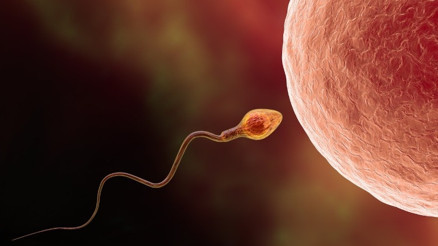 ‘Kız arkadaşımı yakaladım, ne yapacağım’ Sperm hırsızlığı hakkında merak edilenler…