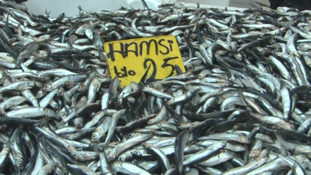 Hamsi fiyatları yarıya düştü