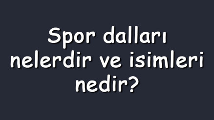 Spor dalları nelerdir ve isimleri nedir Az bilinen, olimpik, ekstrem ve geleneksel sporlar Spor dalları nelerdir ve isimleri nedir Az bilinen, olimpik, ekstrem ve geleneksel sporlar
