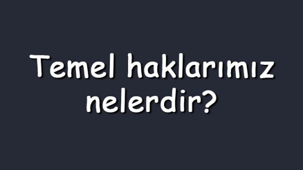 Temel haklarımız nelerdir Maddeler halinde açıklamaları ile haklarımız
