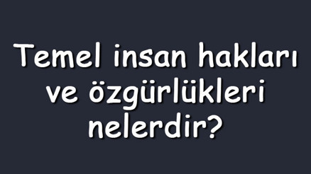 Temel insan hakları ve özgürlükleri nelerdir Maddeler halinde temel haklar