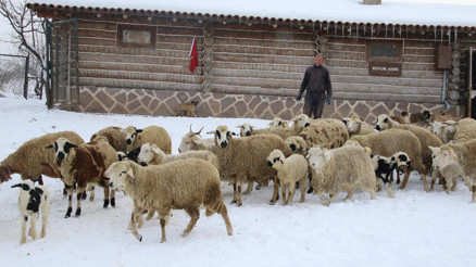 Karın tadını onlar da çıkarıyor
