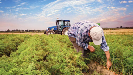 Ali Çandır: Kamu bankası destekli dijital sistem kurulmalı Ali Çandır: Kamu bankası destekli dijital sistem kurulmalı
