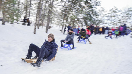 Kar üstünde kızak yarışı