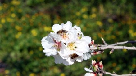 İlk cemre ne zaman düşecek İşte 2022de 1. cemrenin düşüş tarihi İlk cemre ne zaman düşecek İşte 2022de 1. cemrenin düşüş tarihi
