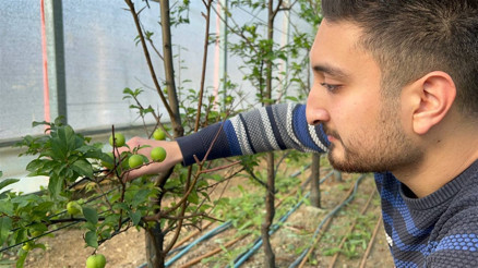 Kış ortasında toplanıyor Dünyanın her yerine gönderiliyor... Tanesi 20 TL Kış ortasında toplanıyor Dünyanın her yerine gönderiliyor... Tanesi 20 TL