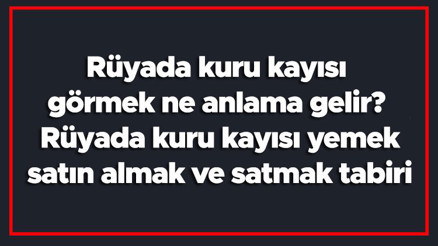 Rüyada kuru kayısı görmek ne anlama gelir Rüyada kuru kayısı yemek, satın almak ve satmak tabiri