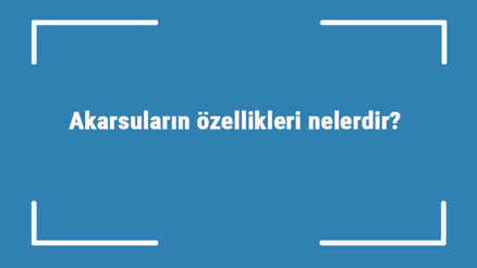 Akarsuların özellikleri nelerdir Türkiyenin akarsuları ve temel işlevleri Akarsuların özellikleri nelerdir Türkiyenin akarsuları ve temel işlevleri