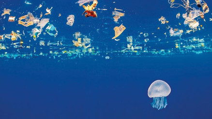 Plastik çöp krizi için son şans