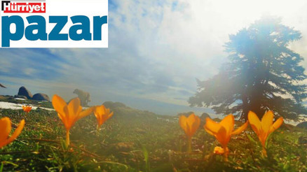 Bizi bu erken baharlar mahvedecek