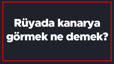 Rüyada kanarya görmek ne demek Rüyada kanarya sevmek, yakalamak ve almak tabiri Rüyada kanarya görmek ne demek Rüyada kanarya sevmek, yakalamak ve almak tabiri