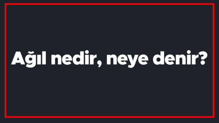 Ağıl nedir, neye denir Ağıl kelimesinin TDK sözlük anlamı Ağıl nedir, neye denir Ağıl kelimesinin TDK sözlük anlamı