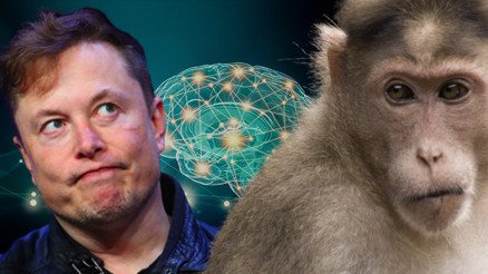 İddiası çok büyük, suçlamalar çok korkunç Elon Musk Neuralink ile nereye koşuyor İddiası çok büyük, suçlamalar çok korkunç Elon Musk Neuralink ile nereye koşuyor
