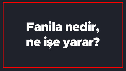 Fanila nedir, ne işe yarar Fanila ile atlet arasındaki fark nedir