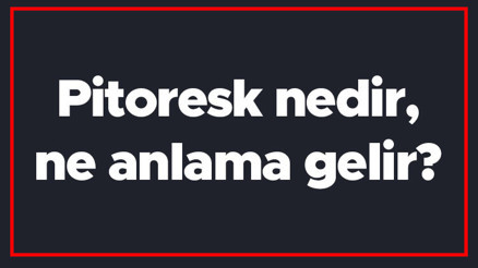Pitoresk nedir, ne anlama gelir Pitoresk şiir ve roman örnekleri