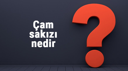 Çam sakızı nedir ve nasıl kullanılır Ağaç sakızı faydaları nelerdir