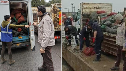 İstanbulda kaçak avlanan 10 ton midyeye el konuldu