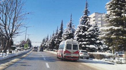 Karlar altında bir vaha