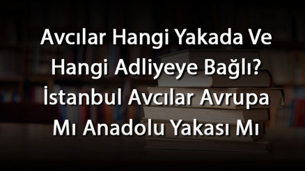 Avcılar Hangi Yakada Ve Hangi Adliyeye Bağlı İstanbul Avcılar Avrupa Mı Anadolu Yakası Mı