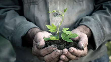 Mazot gübre desteği yattı mı Çiftçi Destek Ödemesi sorgulama hakkında bilgiler