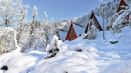 Fırtına Vadisi’nin en güzel dağ evleri Fırtına Vadisi’nin en güzel dağ evleri