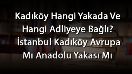 Kadıköy Hangi Yakada Ve Hangi Adliyeye Bağlı İstanbul Kadıköy Avrupa Mı Anadolu Yakası Mı