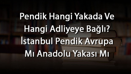 Pendik Hangi Yakada Ve Hangi Adliyeye Bağlı İstanbul Pendik Avrupa Mı Anadolu Yakası Mı