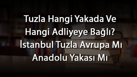 Tuzla Hangi Yakada Ve Hangi Adliyeye Bağlı İstanbul Tuzla Avrupa Mı Anadolu Yakası Mı