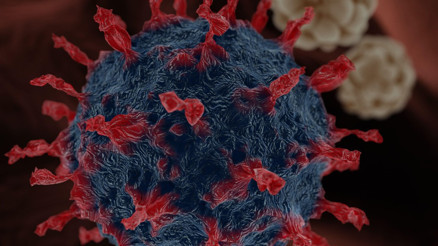 Koronavirüs kâbus gibi üzerlerine çöküyor... Peki ama neden onlar