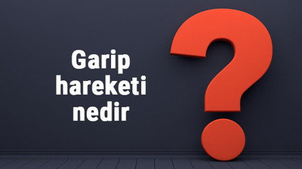 Garip hareketi nedir ve özellikleri nelerdir Garip hareketi temsilcileri