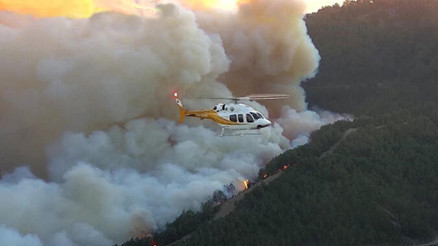 OGM personel alımı tarihleri belirlendi mi, alım ne zaman yapılacak  5 bin işçi alımı için gözler Tarım ve Orman Bakanlığında