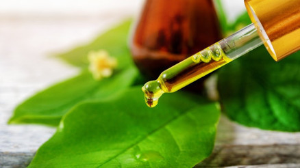 Çay Ağacı Yağı Ne İşe Yarar, Nasıl Kullanılır Çay Ağacı Yağı Cilde ve Saça Faydaları