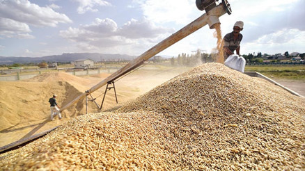 Gıda stoğu için iki kritik karar