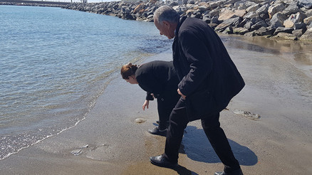 Antalyada sahile vuran deniz analarını kurtarma mücadelesi
